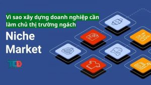 vì sao xây dựng doanh nghiệp cần làm chủ thị trường ngách