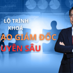 khoá đào tạo giám đốc chuyên sâu