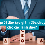 ai đào tạo giám đốc chuyên sâu?