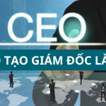 đào tạo giám đốc là gì?