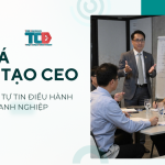 Khoá Đào tạo CEO