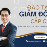 đào tạo giám đốc cấp cao