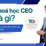 Khoá học CEO là gì?