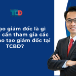 đào tạo giám đốc là gì? Tại sao cần tham gia khoá đào tạo giám đốc TCBD?