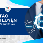 Đào tạo huấn luyện doanh nghiệp