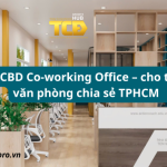 TCBD Co-working Office